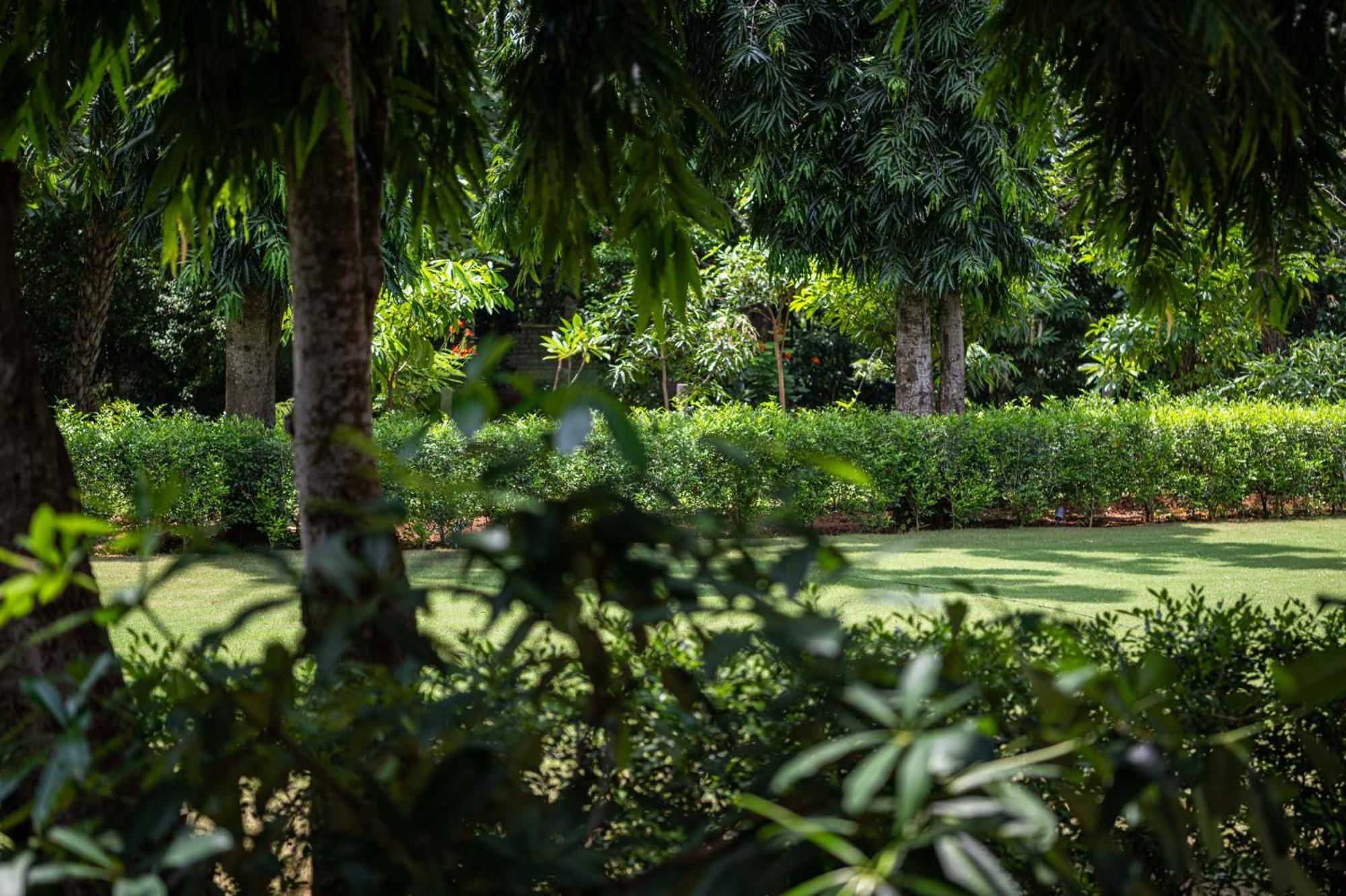 Rambha Palace By Hidden India Ngoại thất bức ảnh
